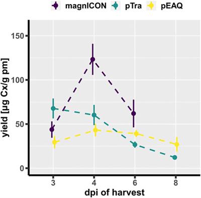 Comparative analysis of plant transient expression vectors for targeted N-glycosylation